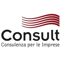 Consult S.r.l. Logo