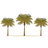 Romaguera Law Group P.A. Logo