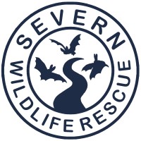 Severn Wildlife Rescue Logo