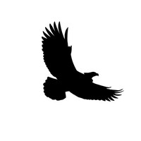 Eagle Performance Logo