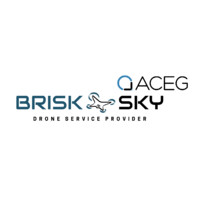 BriskSky l Drone Experts Logo