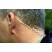 Executive Security Services International Logo