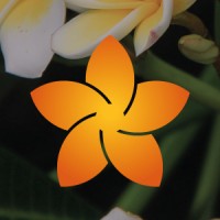 Plumerya Óleos Essenciais Logo