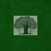 Big Tree Legal LLP Logo