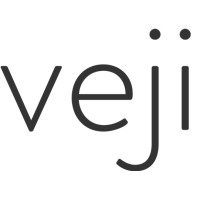 Veji Holdings Ltd Logo