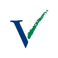 Voicevale Group Logo