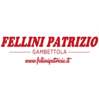 Fellini Patrizio Srl Logo