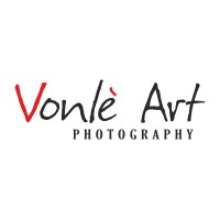 Vonle Art Logo