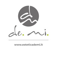 DE.MI. SRL Logo