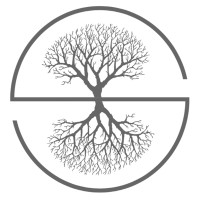 SkyOak Wealth Logo