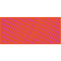 Zebra & Company Logo