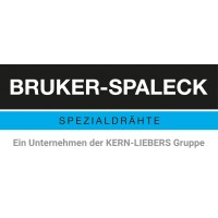 Bruker-Spaleck GmbH Logo
