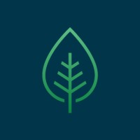 Sprout Strategy Group Logo