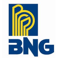 BNG Metalmecânica Ltda Logo