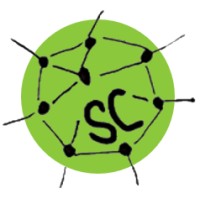 SMART + CLEVER Logo