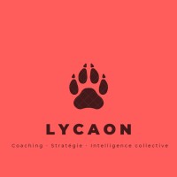 Lycaon - Coaching | Strategy | Collective Intelligence Logo