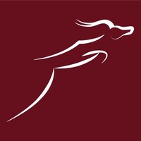 Impala Executive Services Logo