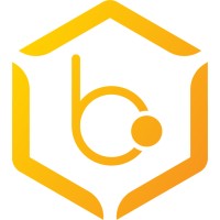 Bokucoin Logo
