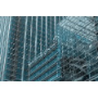 Platinum Security Logo