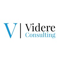 Videre Consulting LTD Logo
