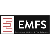 EMFS Group Logo