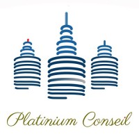 PLATINIUM CONSEIL Logo