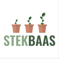 Stekbaas Logo