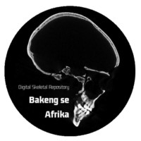 Bakeng se Afrika (BsA) Logo