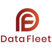 Data Fleet Logo