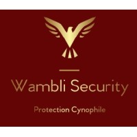 Wambli Security Logo