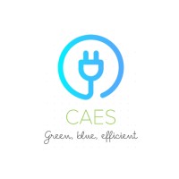 CAES INTERNATIONAL LTD Logo