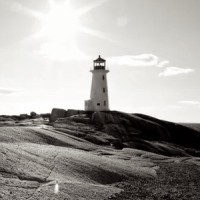 Point Cove LLC Logo