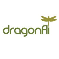 Dragonfli Limited Logo
