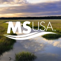 Mitigation Solutions USA Logo
