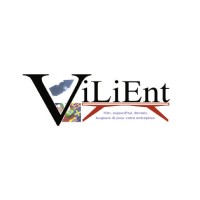 ViLiEnt Consulting SA Logo