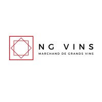 NG VINS Logo