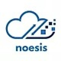 Noesis Infotech Logo