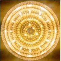 Sturges-Young Center for the Arts Logo