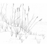 Beach Grass Drafting LLC Logo