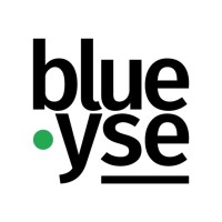 Blueyse Logo