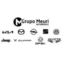 Grupo Meuri Logo