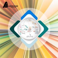 Adovasz Indonesia Logo