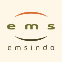 PT EMS Indoappliances Logo