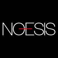 Noesis Group Logo