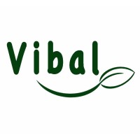 Vibal Logo