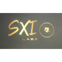SXI Labs Logo