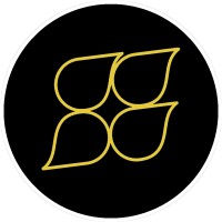 Smooth & Fast Productions LLC Logo