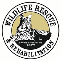 Wildlife Rescue & Rehabilitation Inc. Logo