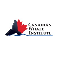 Canadian Whale Institute Logo