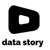 Data Story Logo